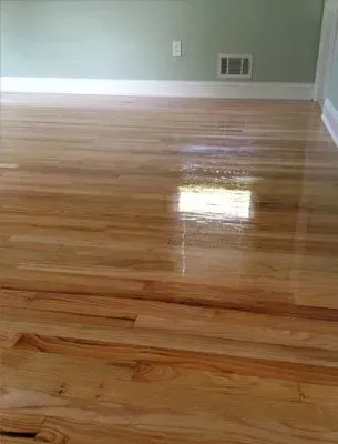 Shiny hardwood floor in a room with light green walls and white baseboards.
