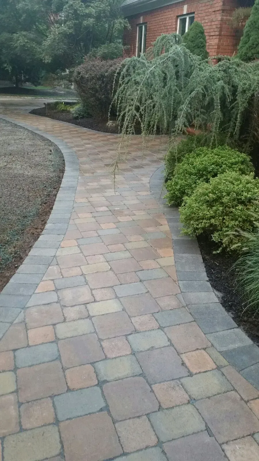 Brick walkway curving through a landscaped yard, bordered by dark pavers and shrubs.