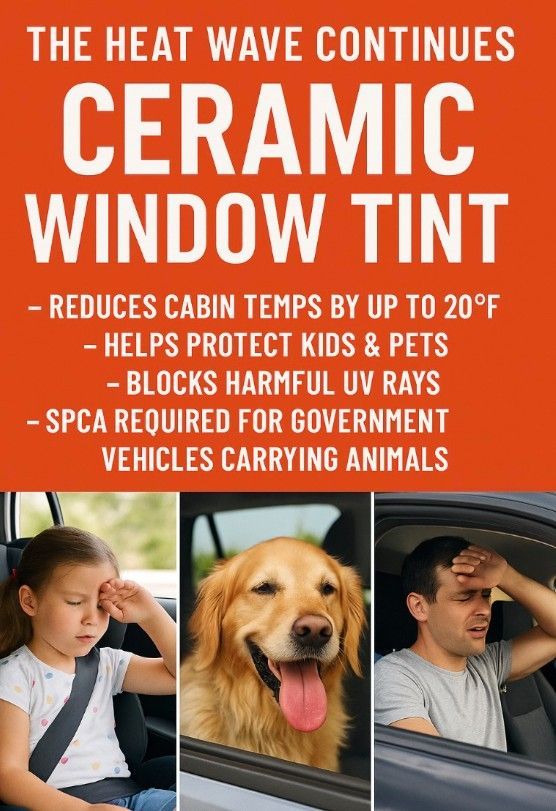 Advertisement for ceramic window tint. It features a girl, dog, and man looking uncomfortable in cars.