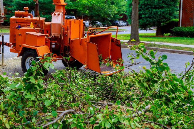 Orange wood chipper on a street, with cut branches nearby.