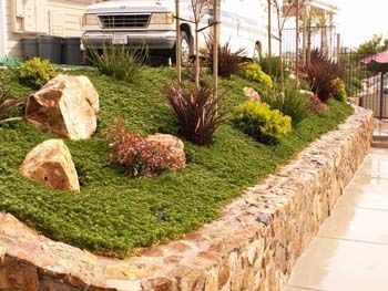 Landscaped front yard with rocks, shrubs, and a stone retaining wall beside a walkway