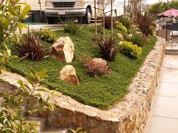 Landscaped stone retaining wall with shrubs and rocks beside a sidewalk in front of a house