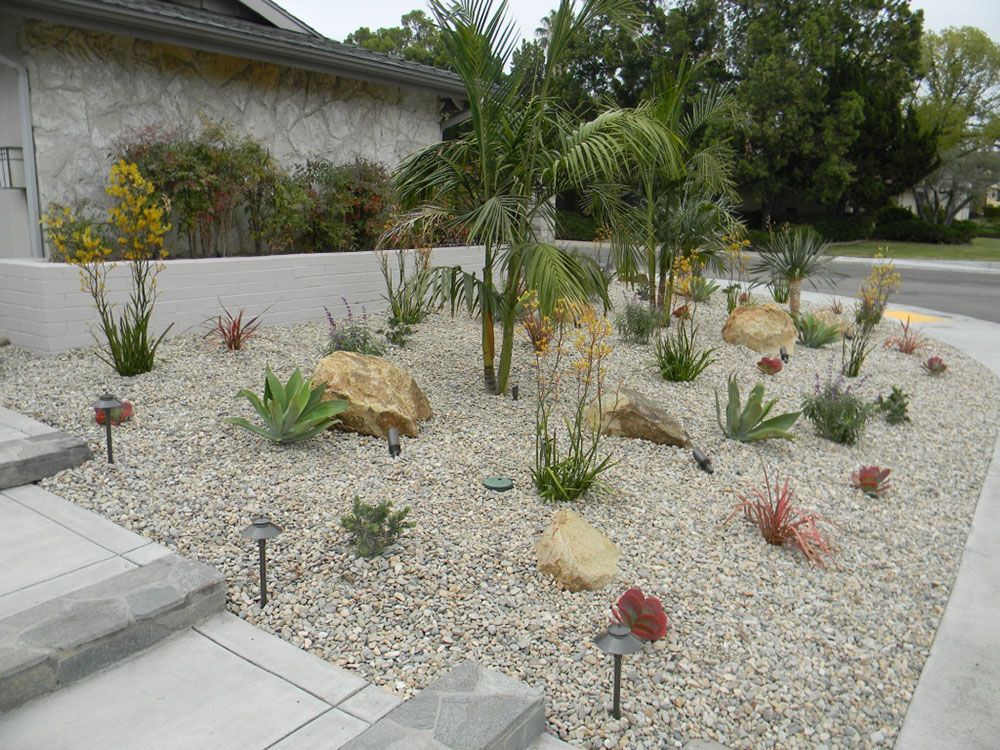 Desert-style front yard with rocks, succulents, and a small palm beside a house and sidewalk.