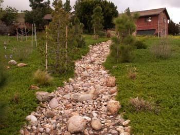 Rocky garden path winding through grass and shrubs toward a red house in the background