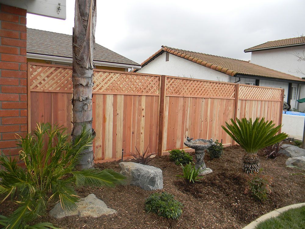 Backyard garden with wooden privacy fence, palm trees, and rocks in a landscaped bed