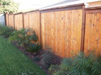 Wooden privacy fence beside a green lawn with palm shrubs along the base