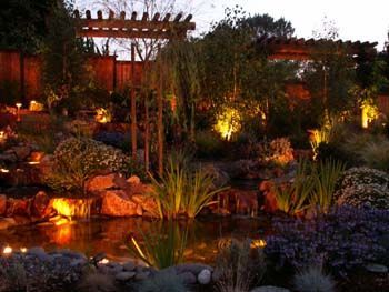 Illuminated garden at dusk with rocks, water, and lush plants under a wooden pergola