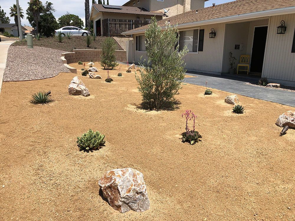 A dry front yard with gravel, scattered rocks, and small desert shrubs beside a house.
