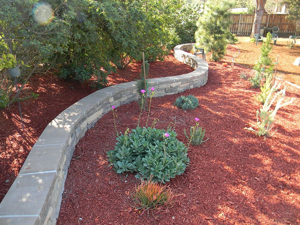 Curved concrete garden border around red mulch with shrubs and small plants in a sunny yard