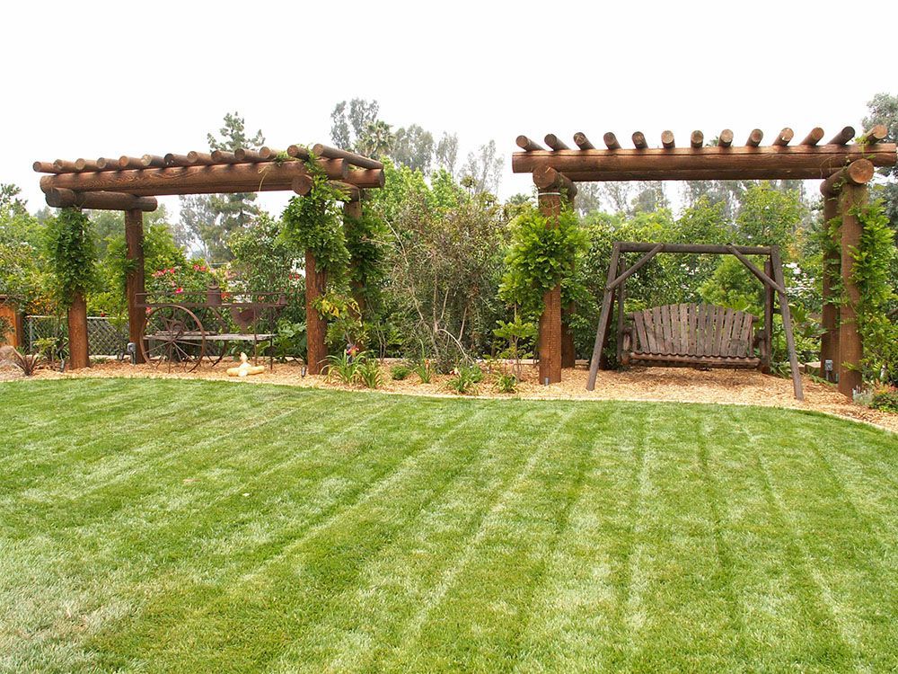 Grassy garden with two wooden pergolas, vines, and a trellis gate in the background