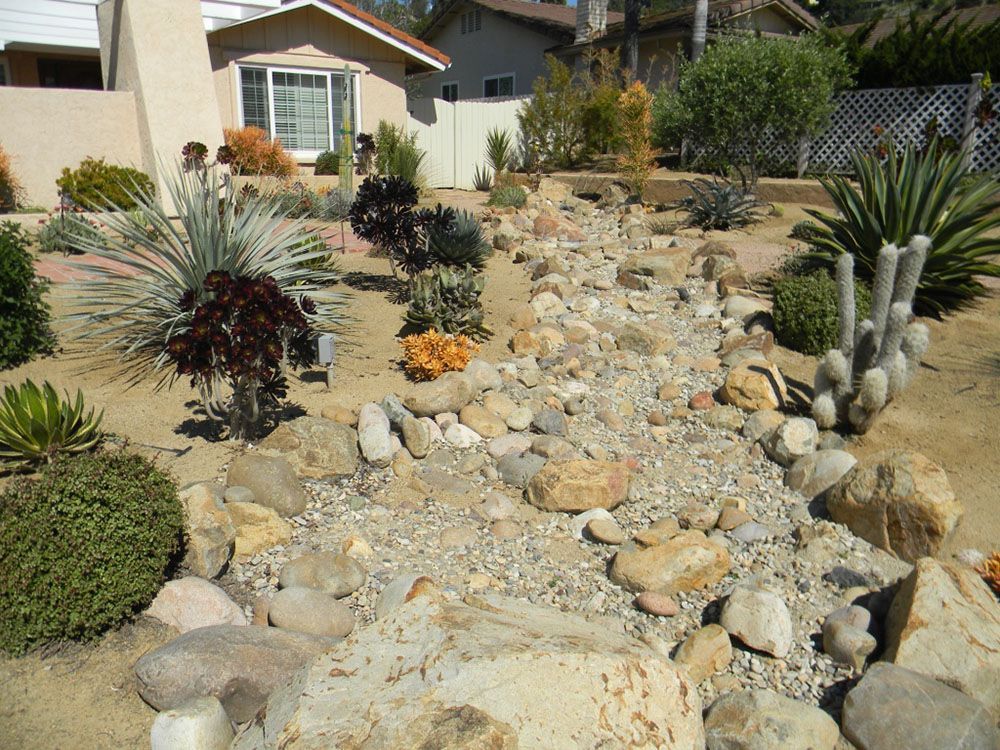 Rock garden landscape with drought-tolerant plants in front of a house