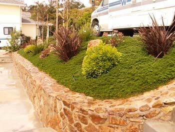 Stone retaining wall and landscaped slope with green shrubs and maroon plants beside a driveway, RV above