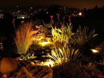 Lit landscaped garden at night with ornamental grasses and warm path lights overlooking distant city lights