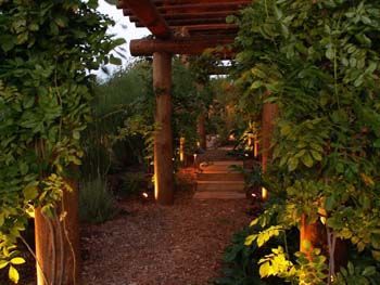 Lit garden pathway under a wooden pergola, lined with lush green plants and warm ground lights