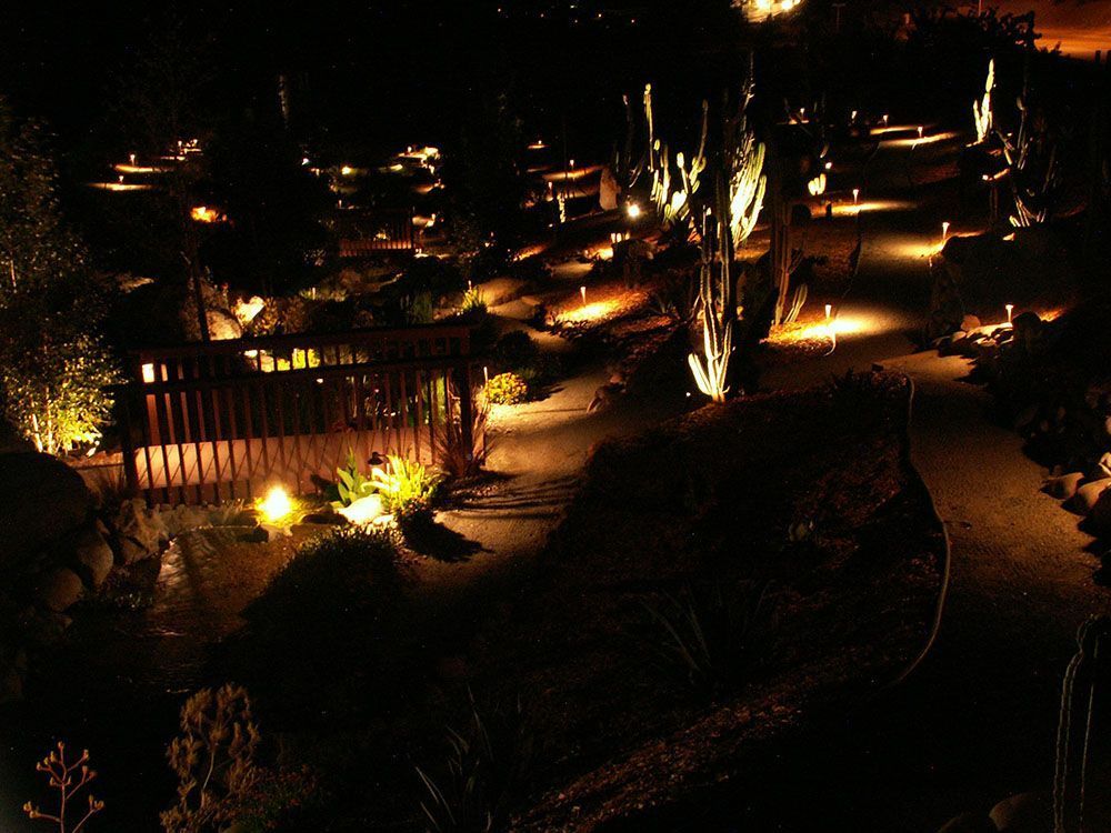 Nighttime garden path lit by warm lights among trees and shrubs