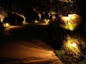Dimly lit garden path at night with glowing landscape lights and trees
