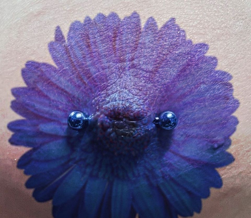 A close-up of a purple flower with piercings on it