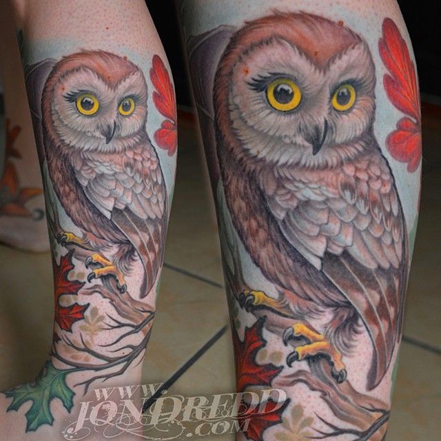Owl branches