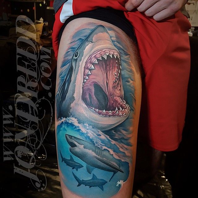 Shark Attack