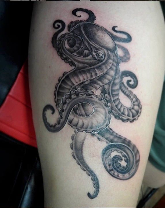 Octopus