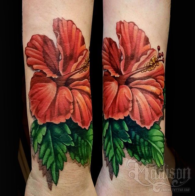 Red hibiscus
