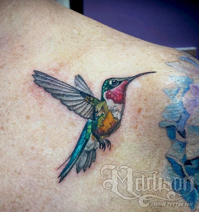 Hummingbird
