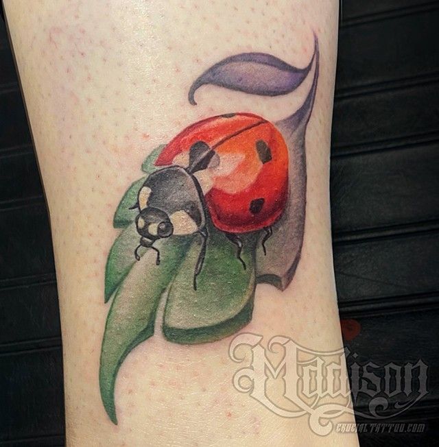 Ladybug Leaf
