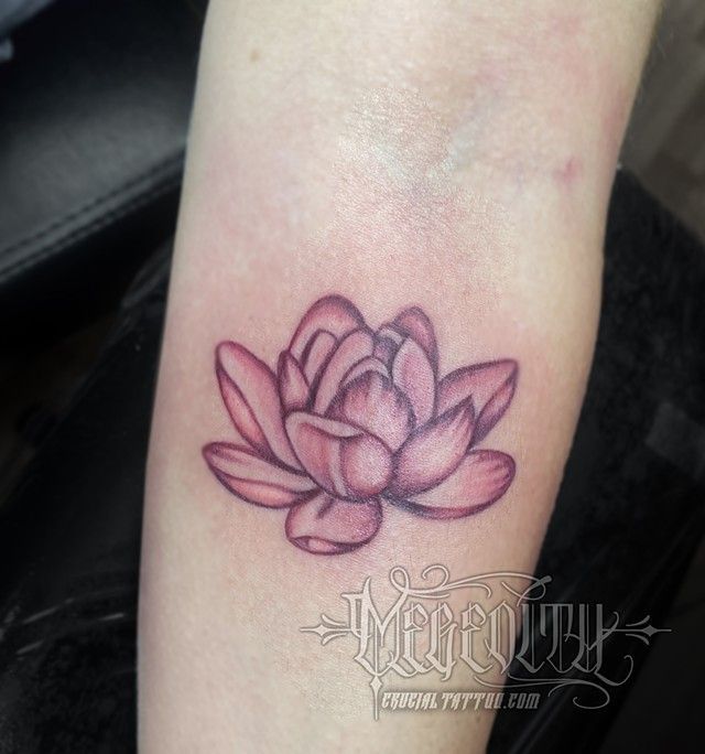 Pink Lotus