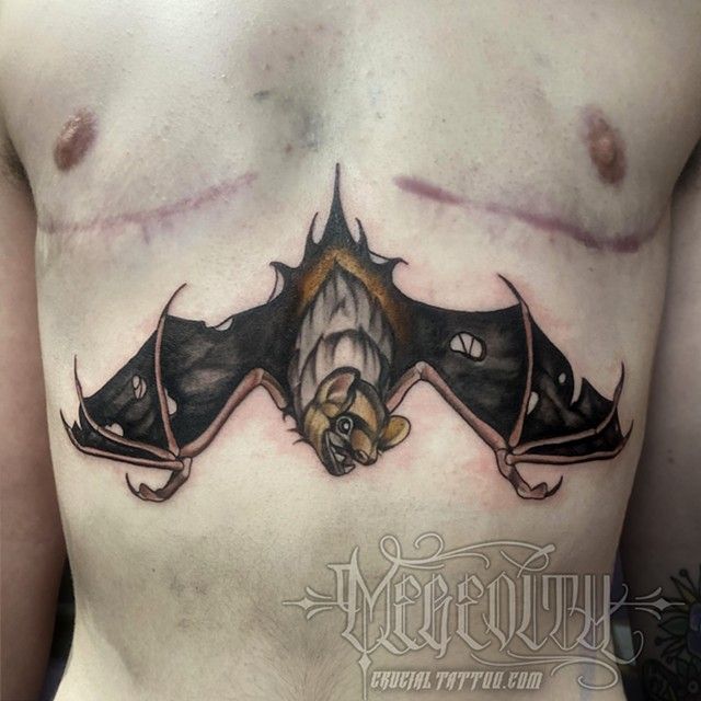Tattered bat