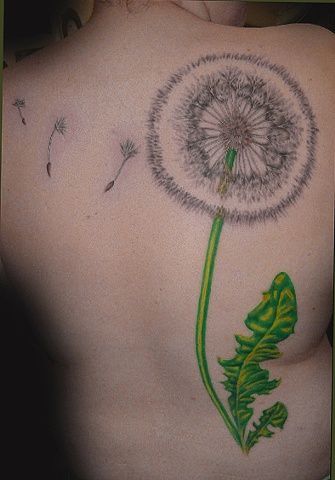 Heather Marzi's tattoo