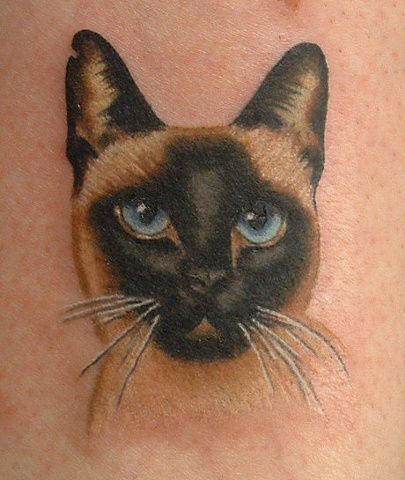 Cat tattoo