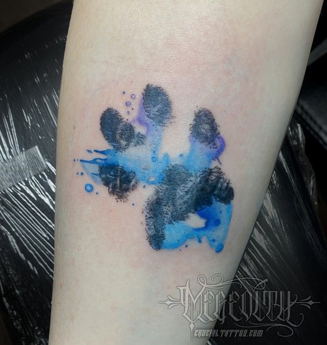 Blue Paw