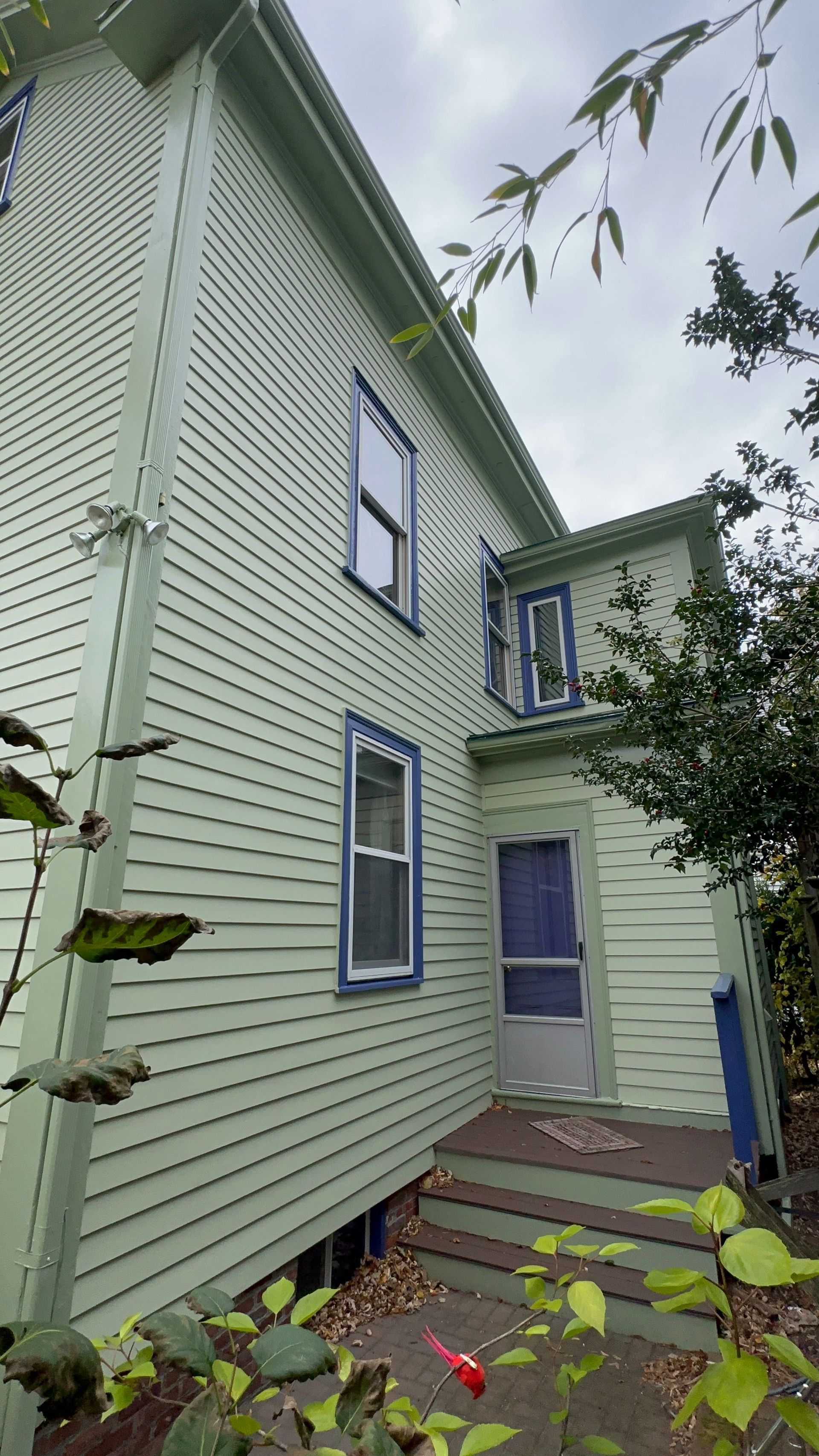 Side view of a light green house with blue trim, windows, and a doorway. Trees surround the building.