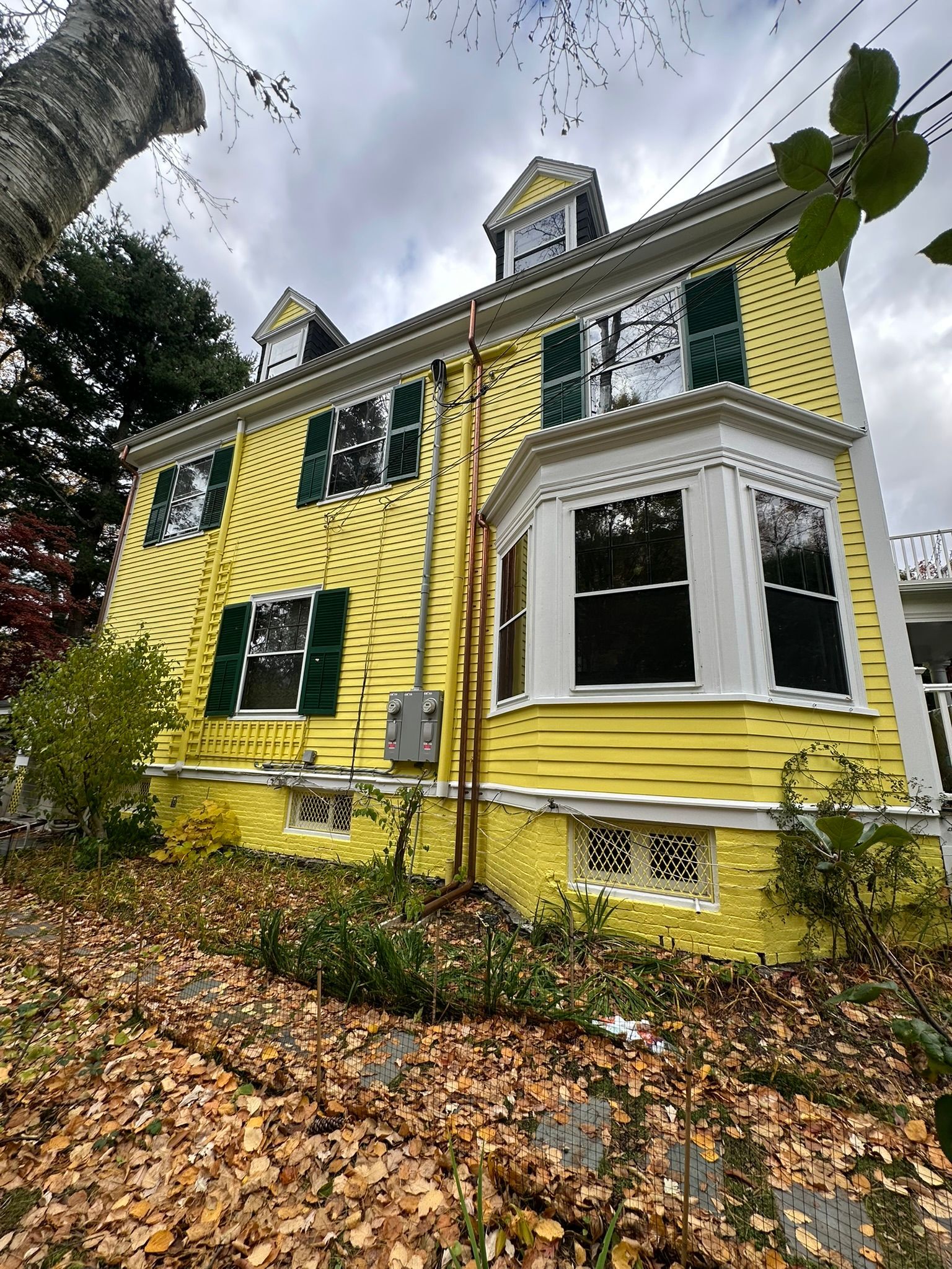Yellow house with green shutters and white trim on a cloudy day, foliage in the foreground.