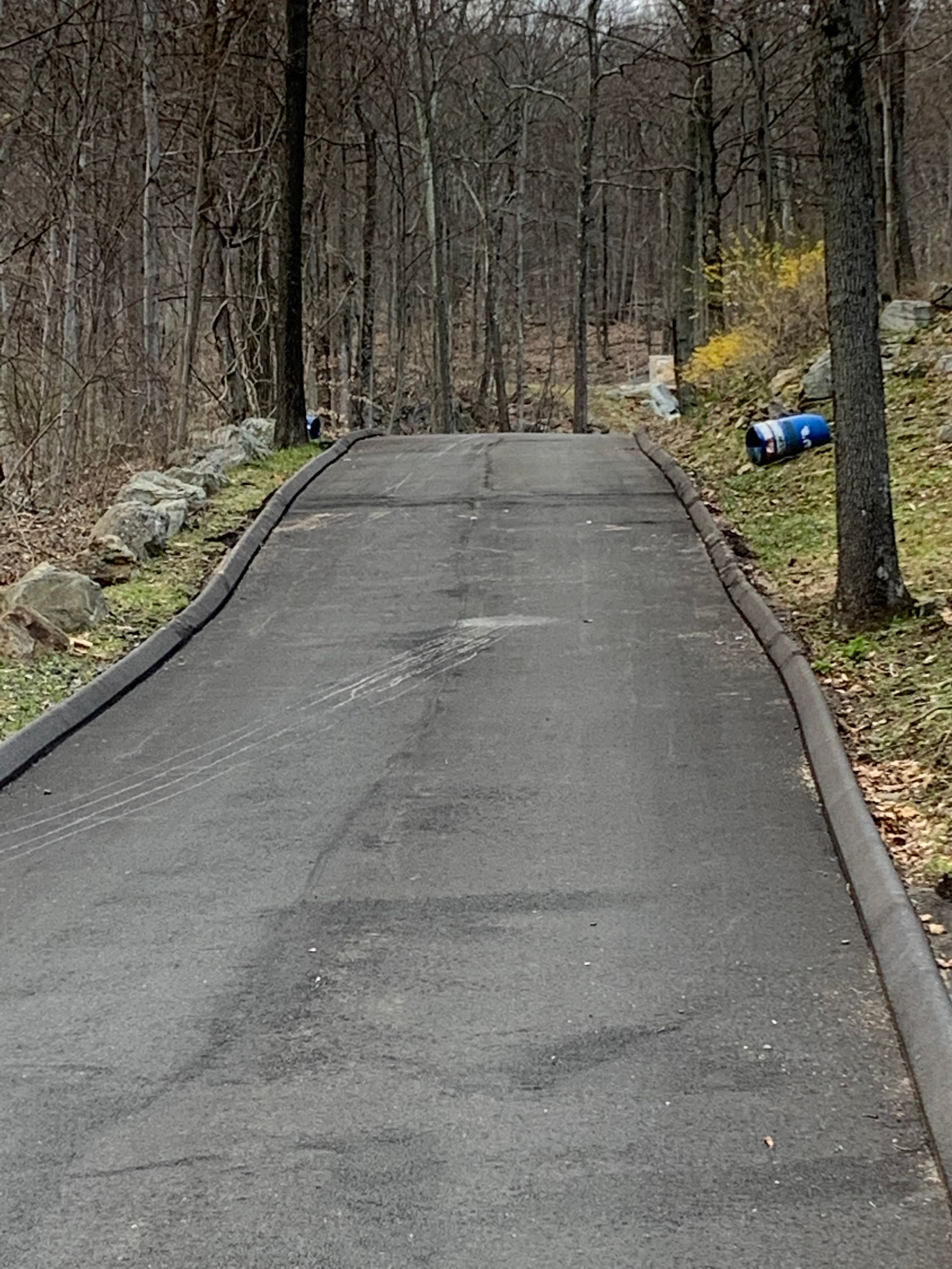 A road going through a forest with trees on both sides.