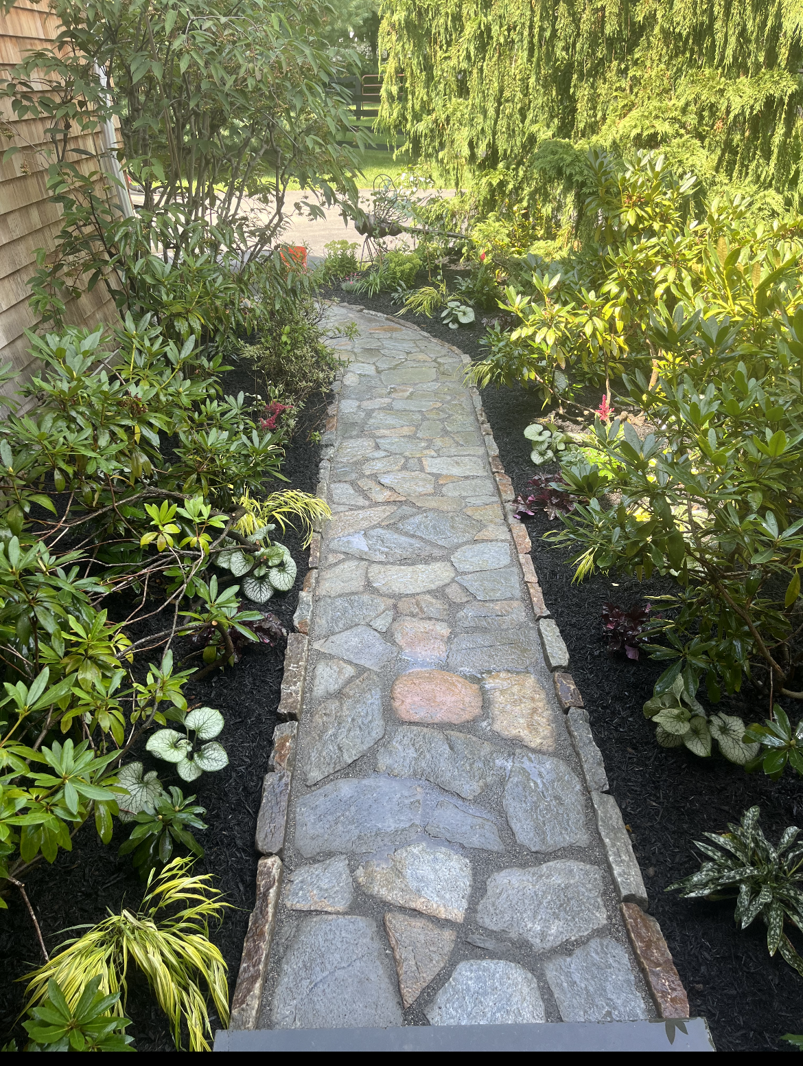 A stone walkway surrounded by trees and bushes in a garden.