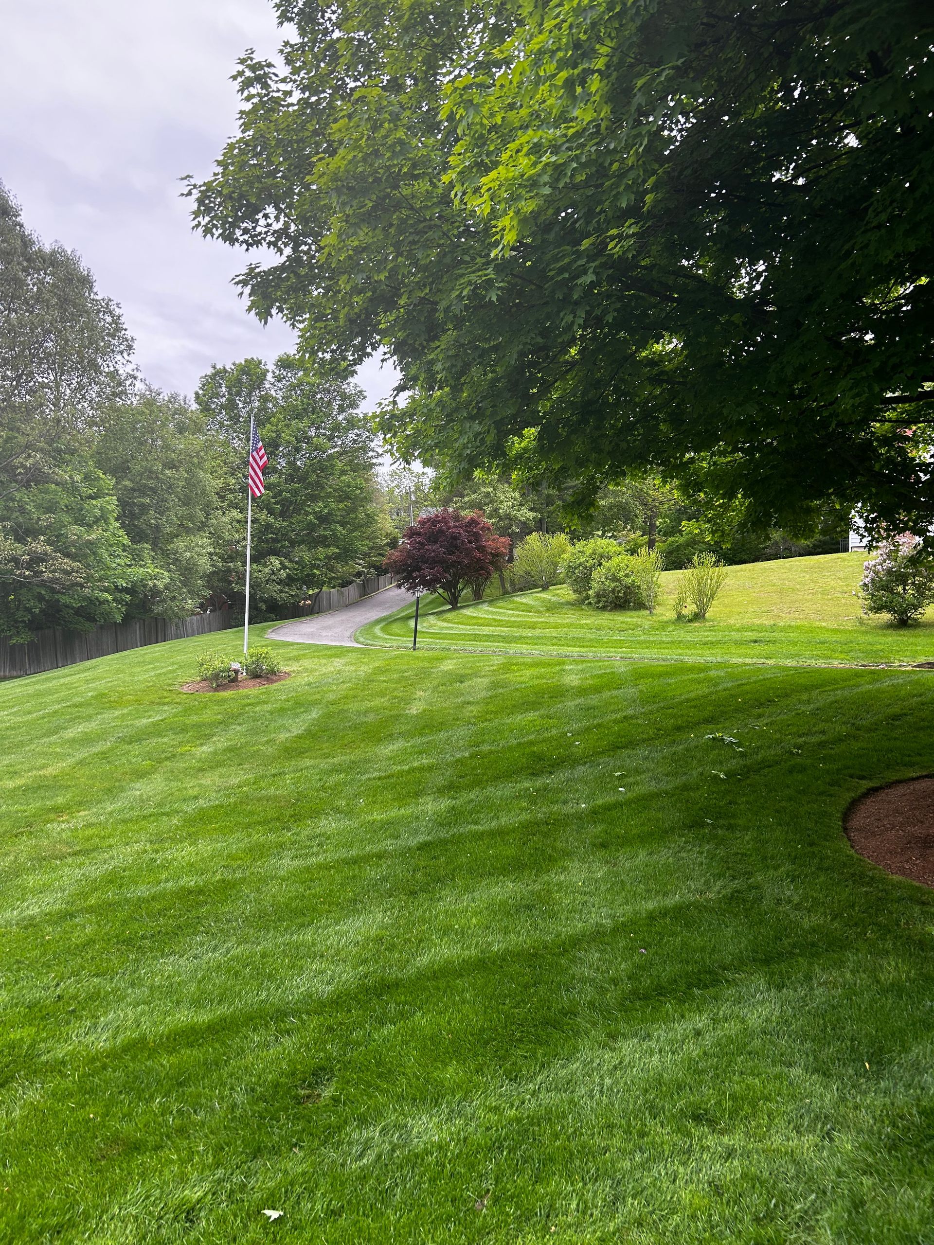 A lush green lawn with trees and a flag in the background.