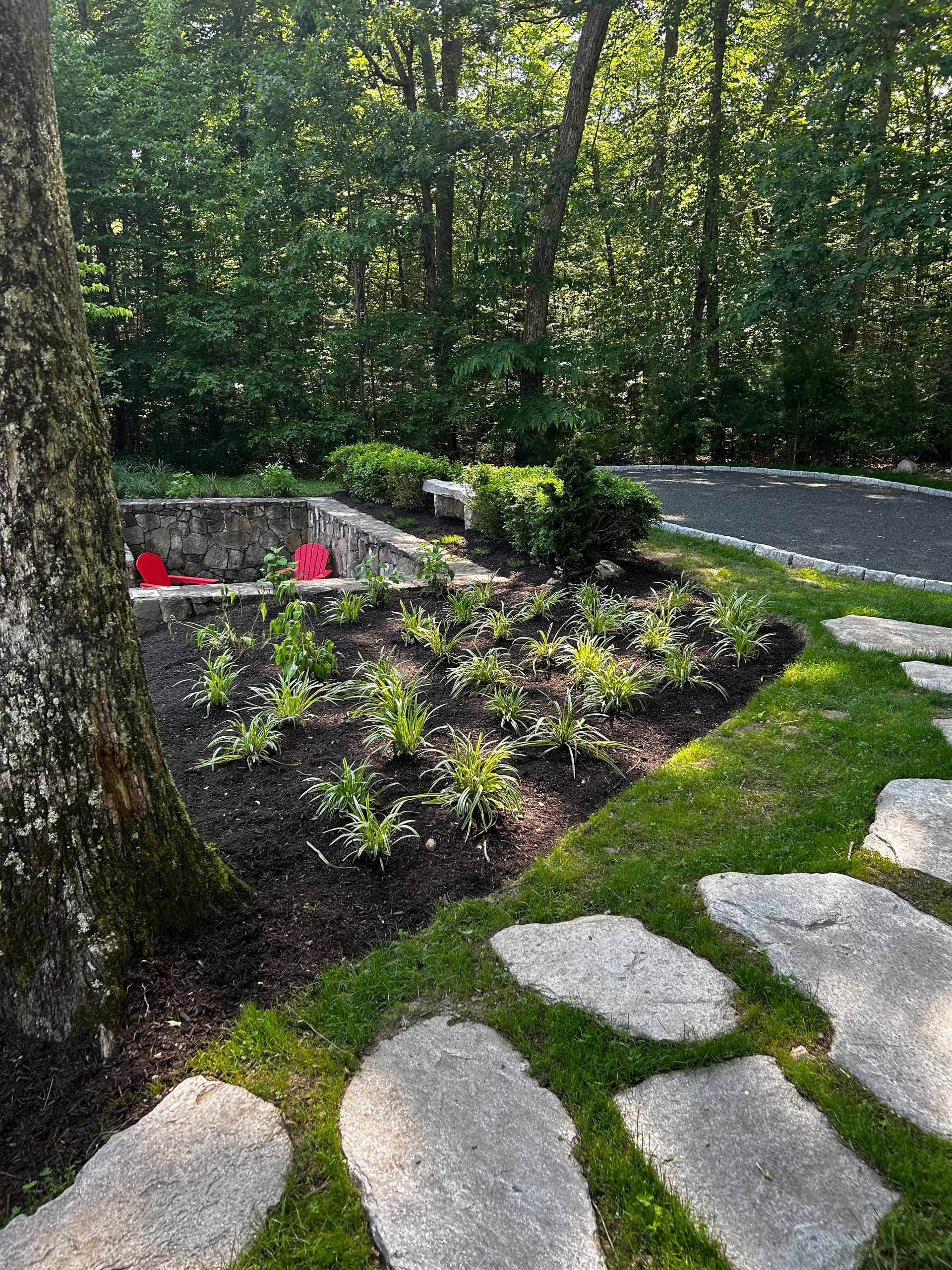 A stone walkway leading to a fire pit in a backyard surrounded by trees.