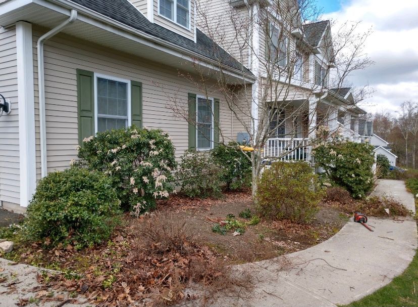 A house with a lot of bushes in front of it.