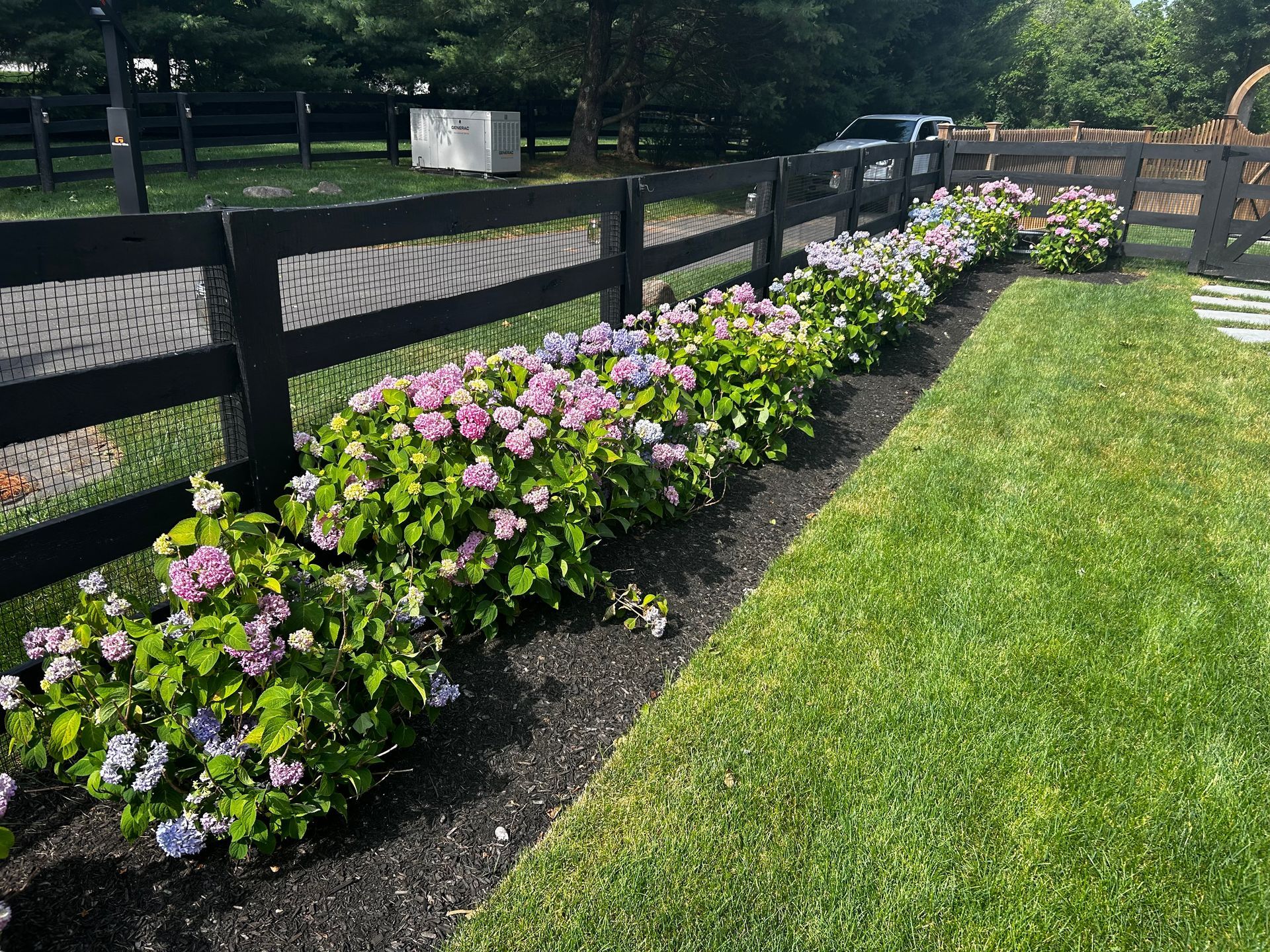 A row of flowers growing next to a wooden fence in a yard.