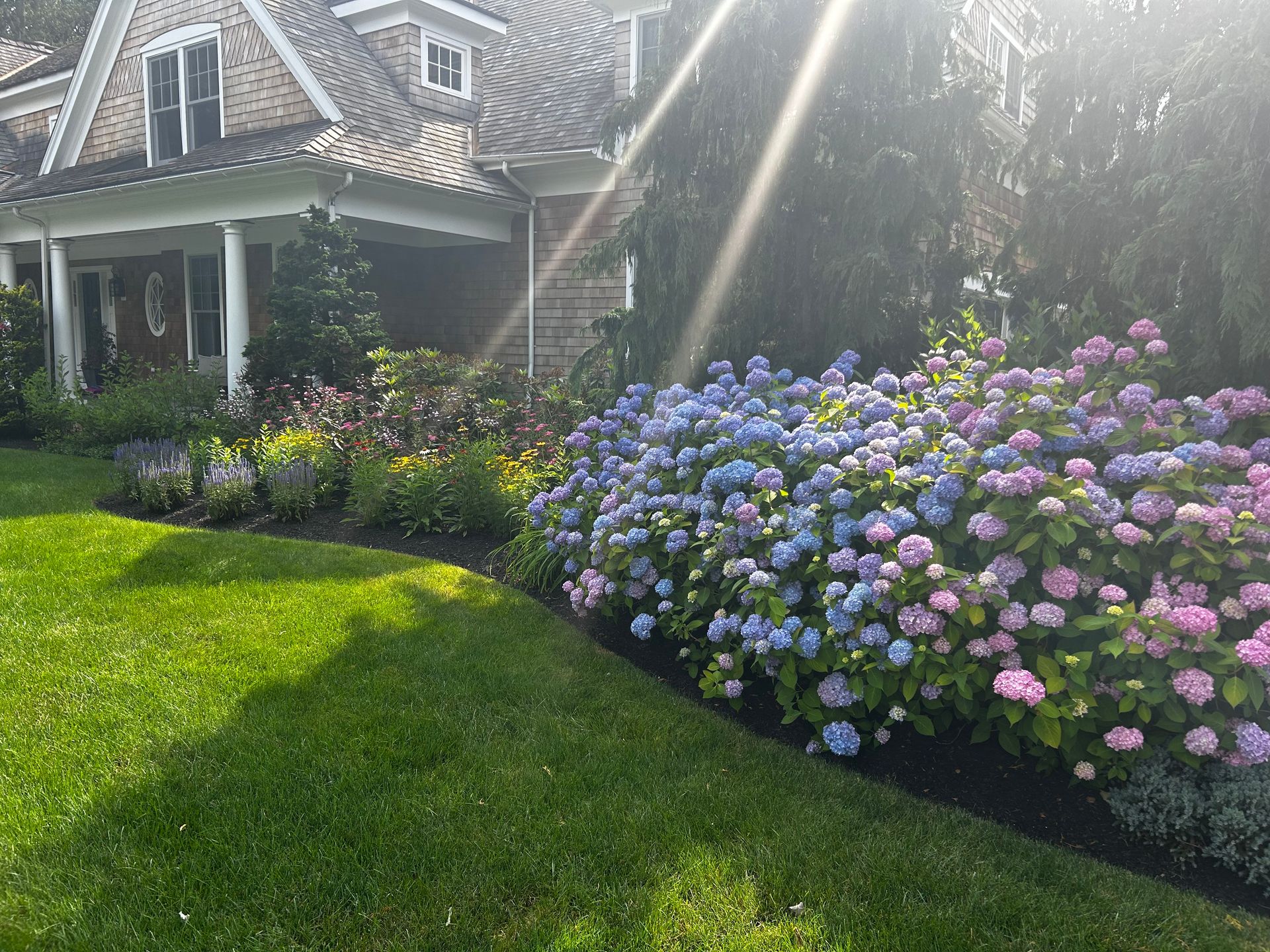A house with a lush green lawn and flowers in front of it.