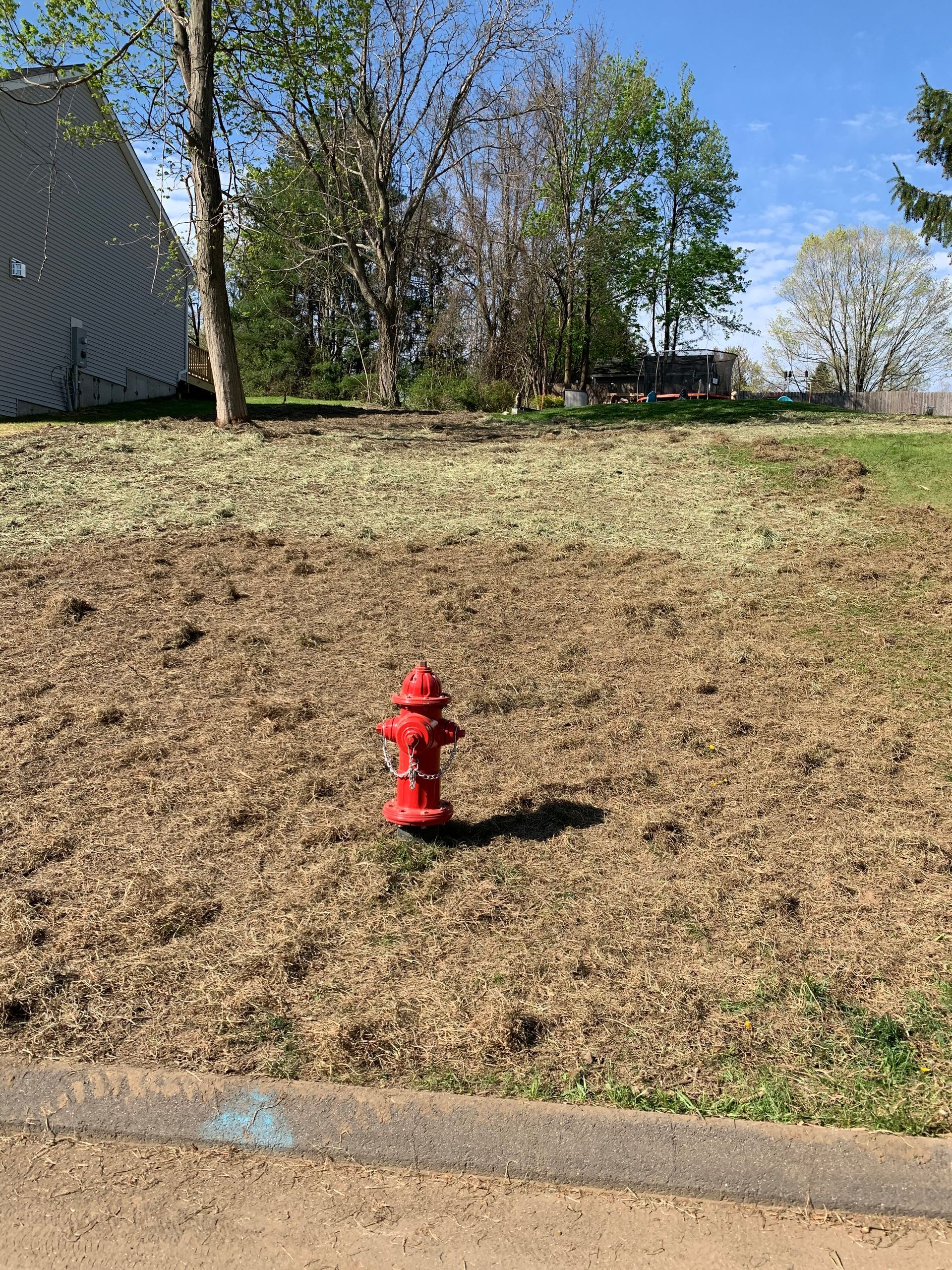 A red fire hydrant is sitting in the middle of a field.