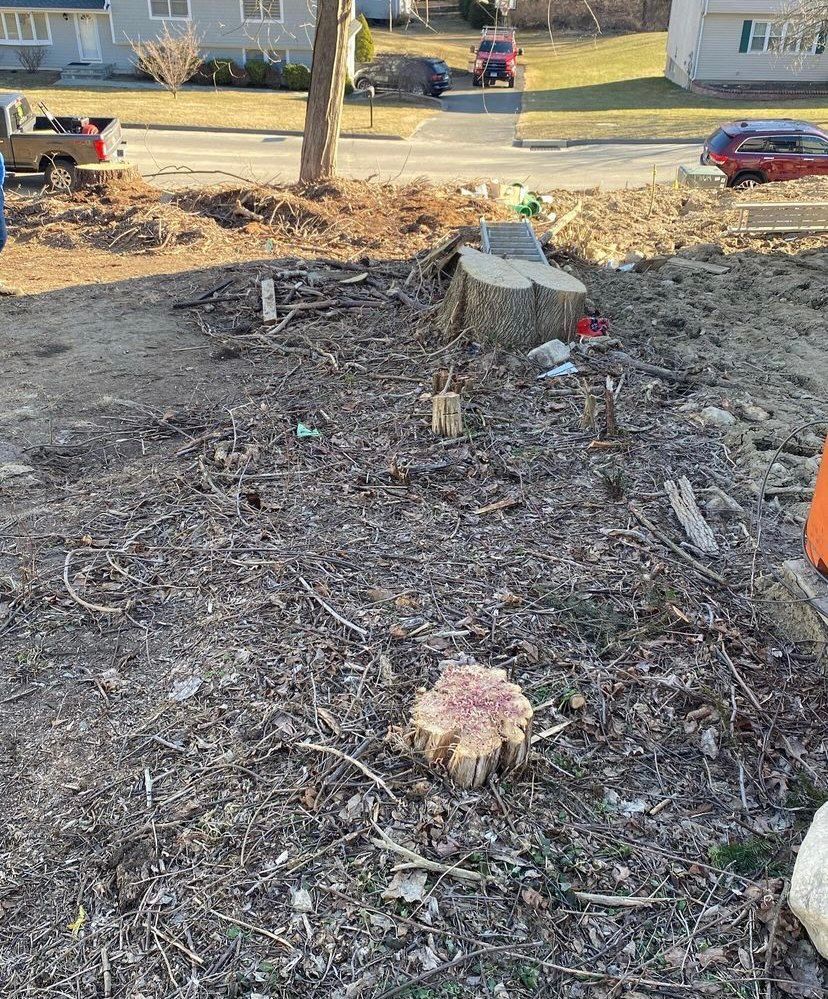 A tree stump is sitting in the middle of a dirt field.