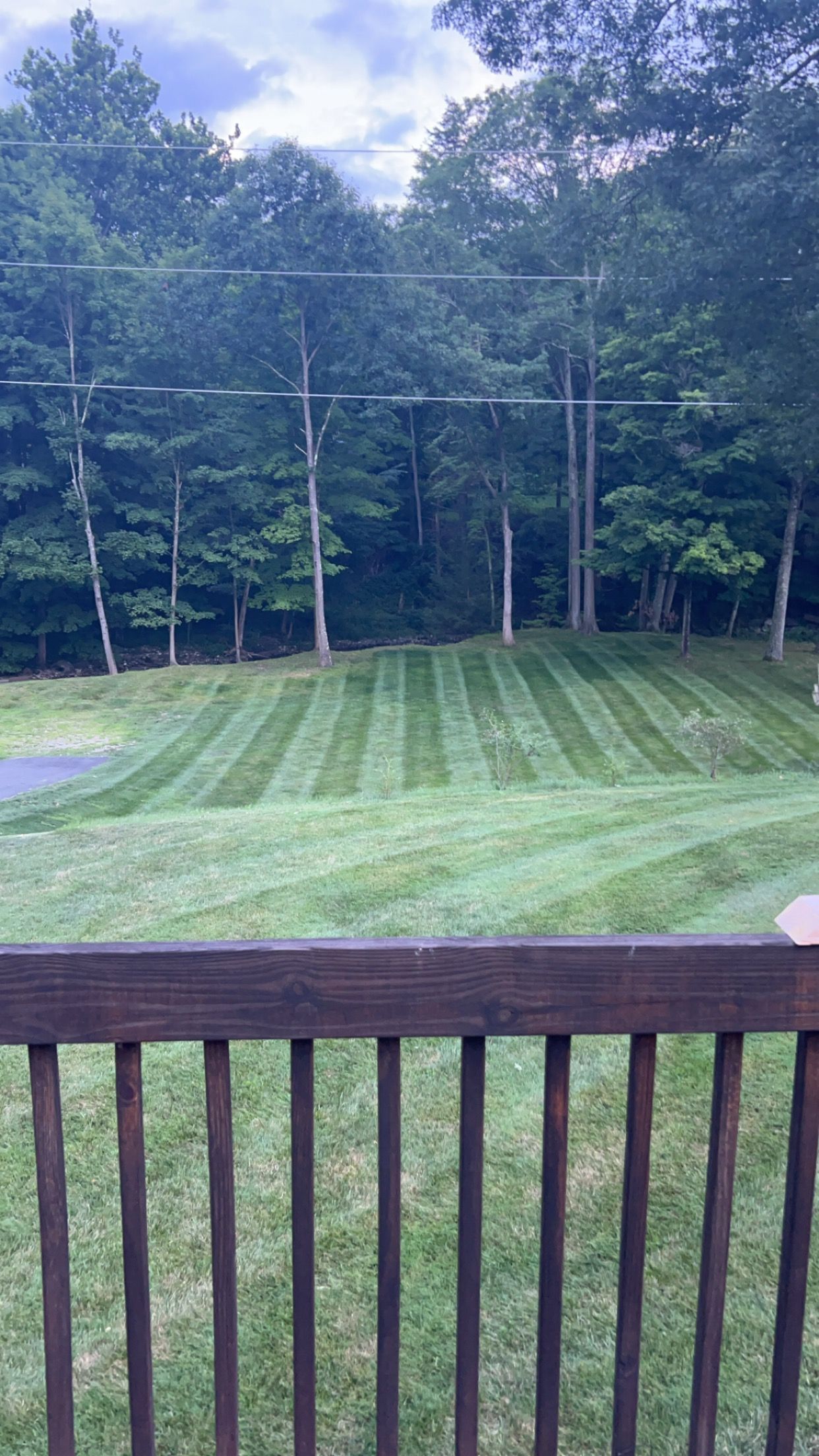 A view of a lush green lawn from a deck.