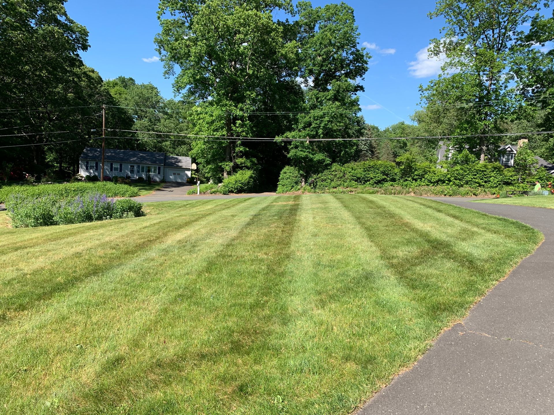 A lush green lawn with a path going through it