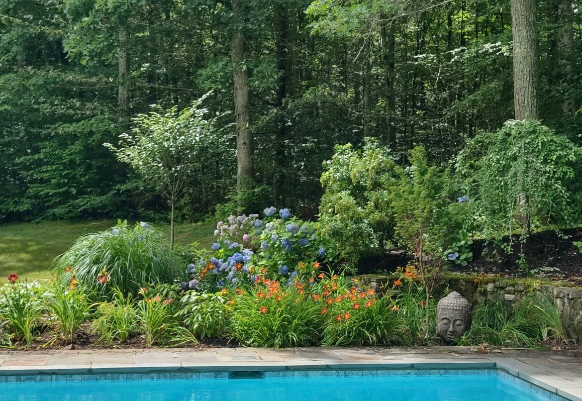A swimming pool surrounded by trees and flowers in a backyard.