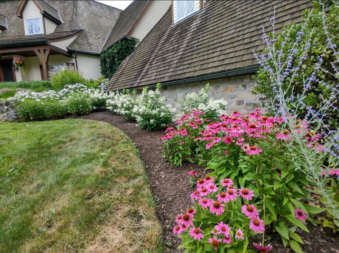 A garden with pink and white flowers in front of a house.