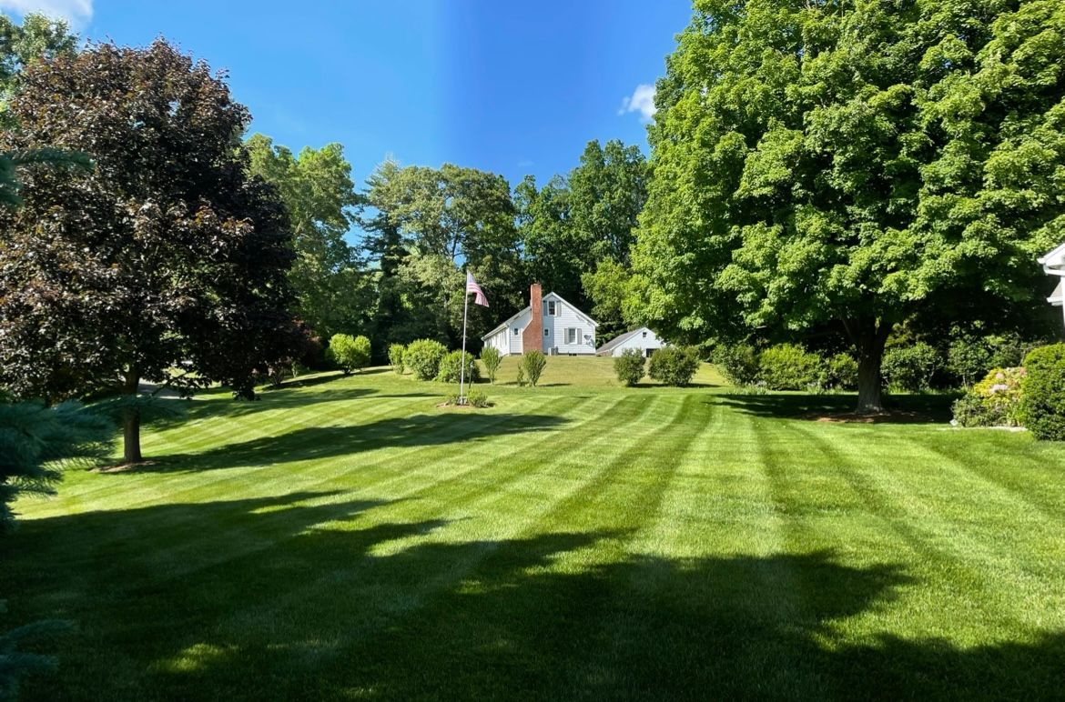 A lush green lawn with trees and a house in the background.
