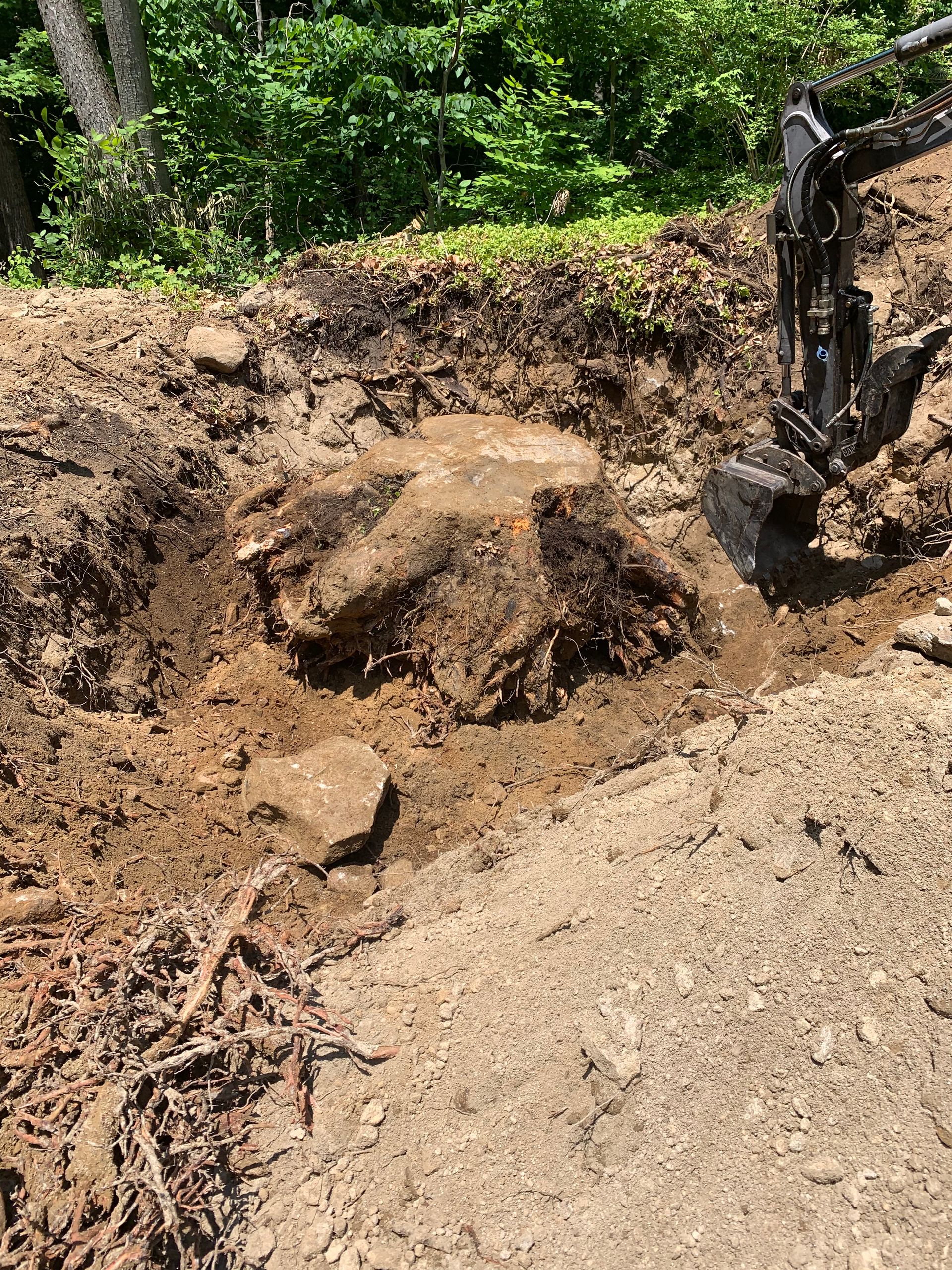 An excavator is digging a hole in the dirt near a tree stump.
