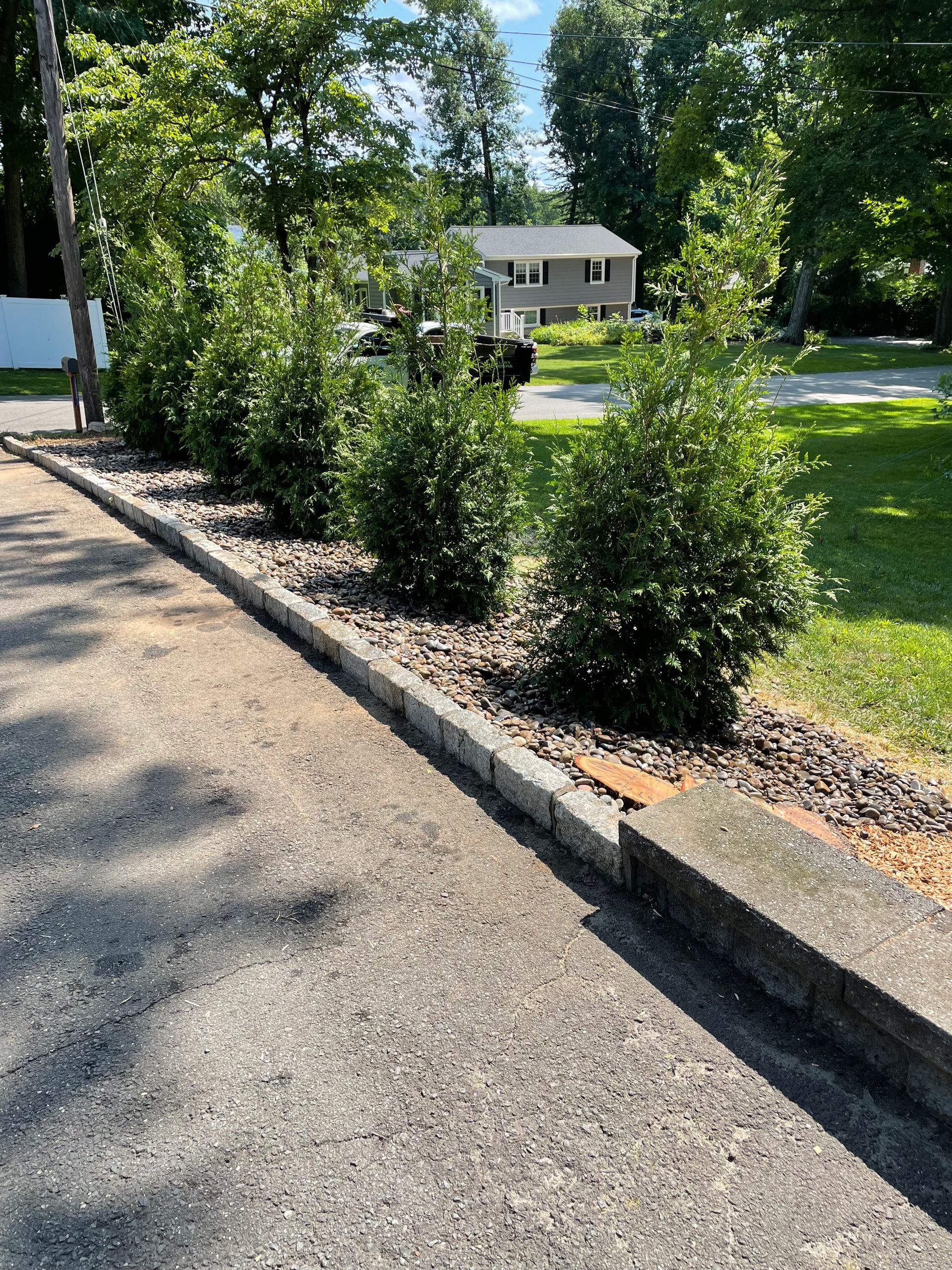 A row of bushes along the side of a road next to a house.